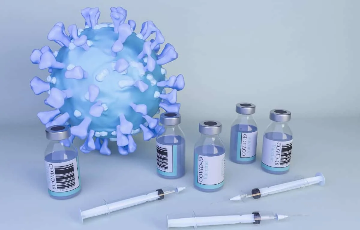 COVID-19: Getting an Influenza and Pneumococcal Vaccine During The Pandemic